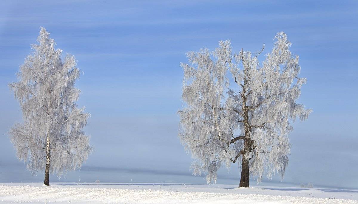 , Валерий Кондратов