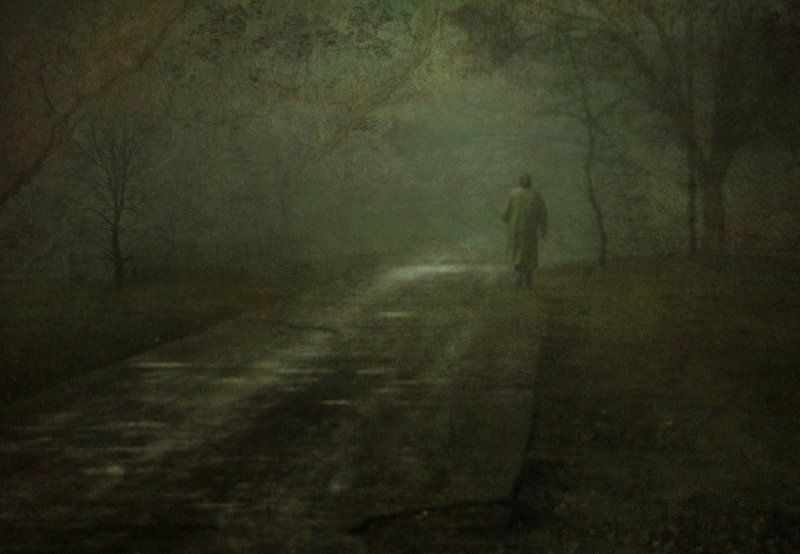 свой путь....... фото превью