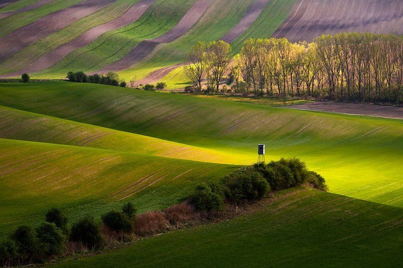 Only one фото превью