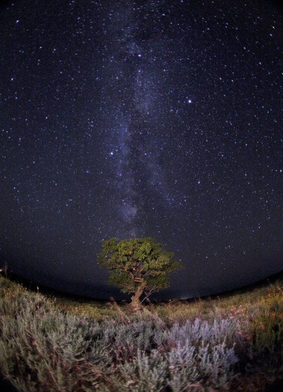 Самая_Главная_Галактика фото превью