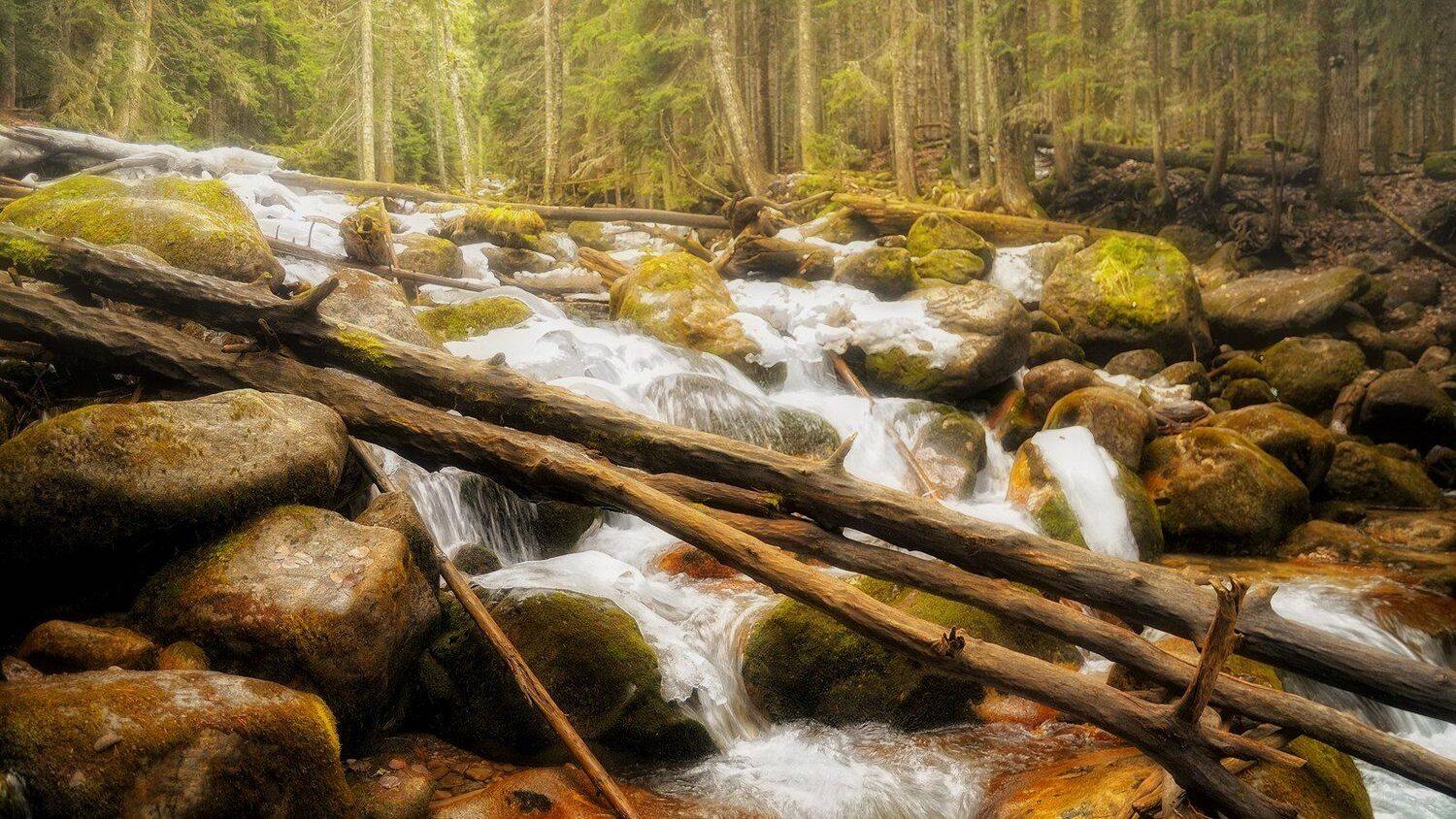 лес, река, зима, вода, камни, пейзаж, Serj Master