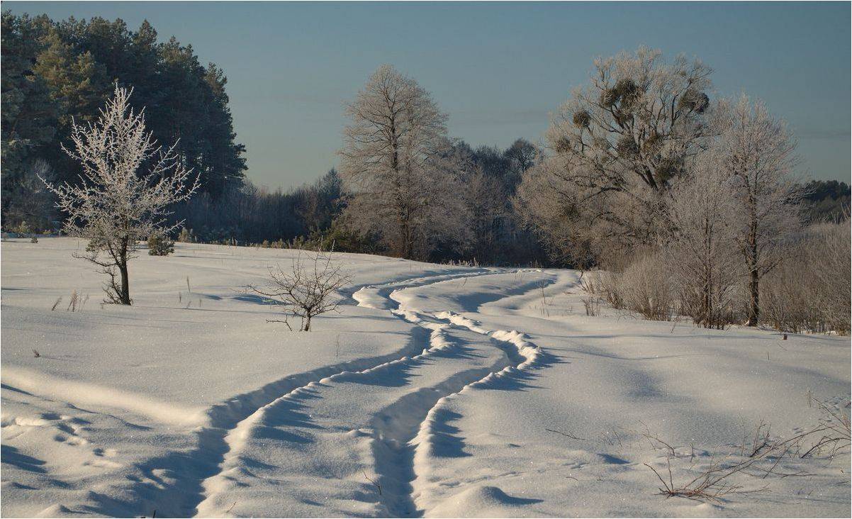 , Володимир Карчевський