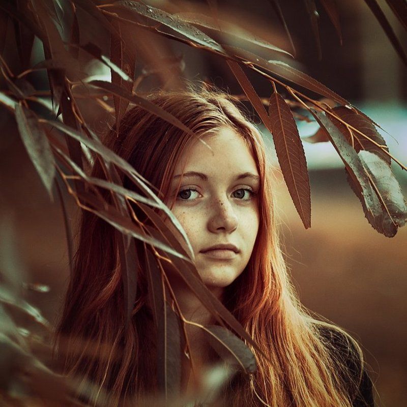 --- фото превью