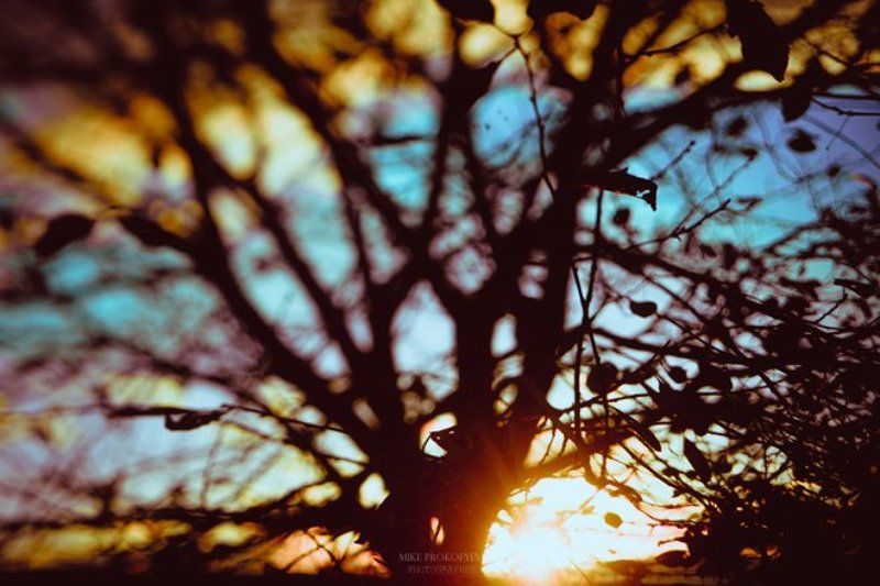 full of colors фото превью