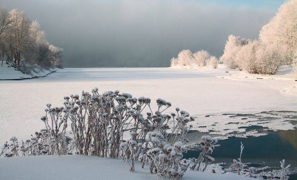 , Николай Морский