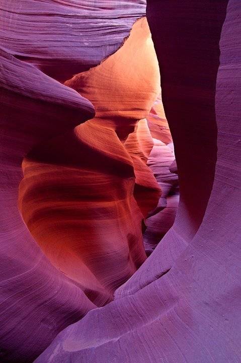 нижний каньон антилопы,   аризона,   lower antelope canyon,   arizona, Алексей Харитонов