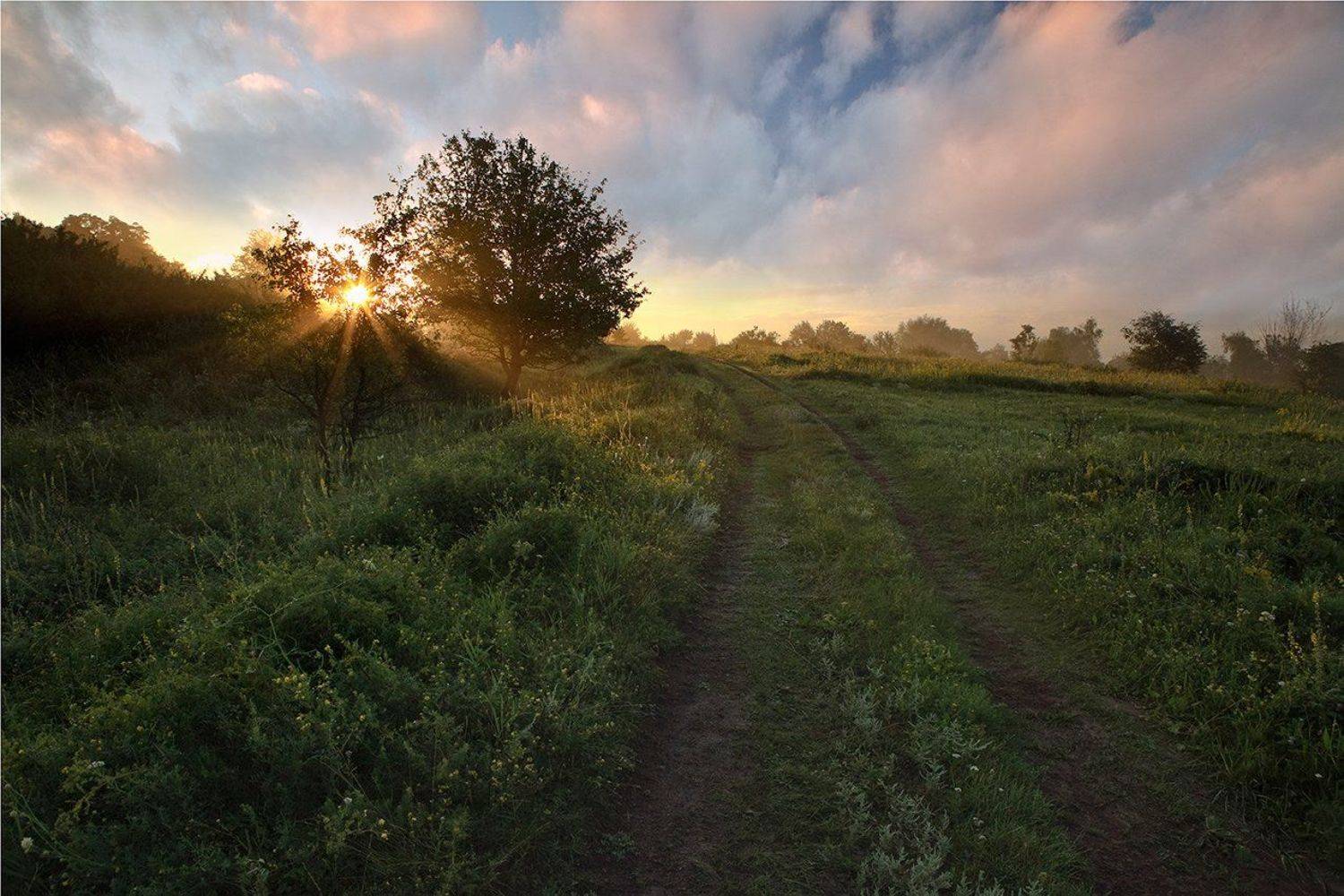 , Петр Антонович