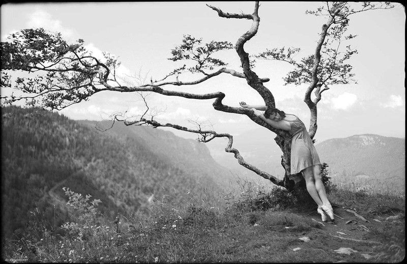 On the verge фото превью