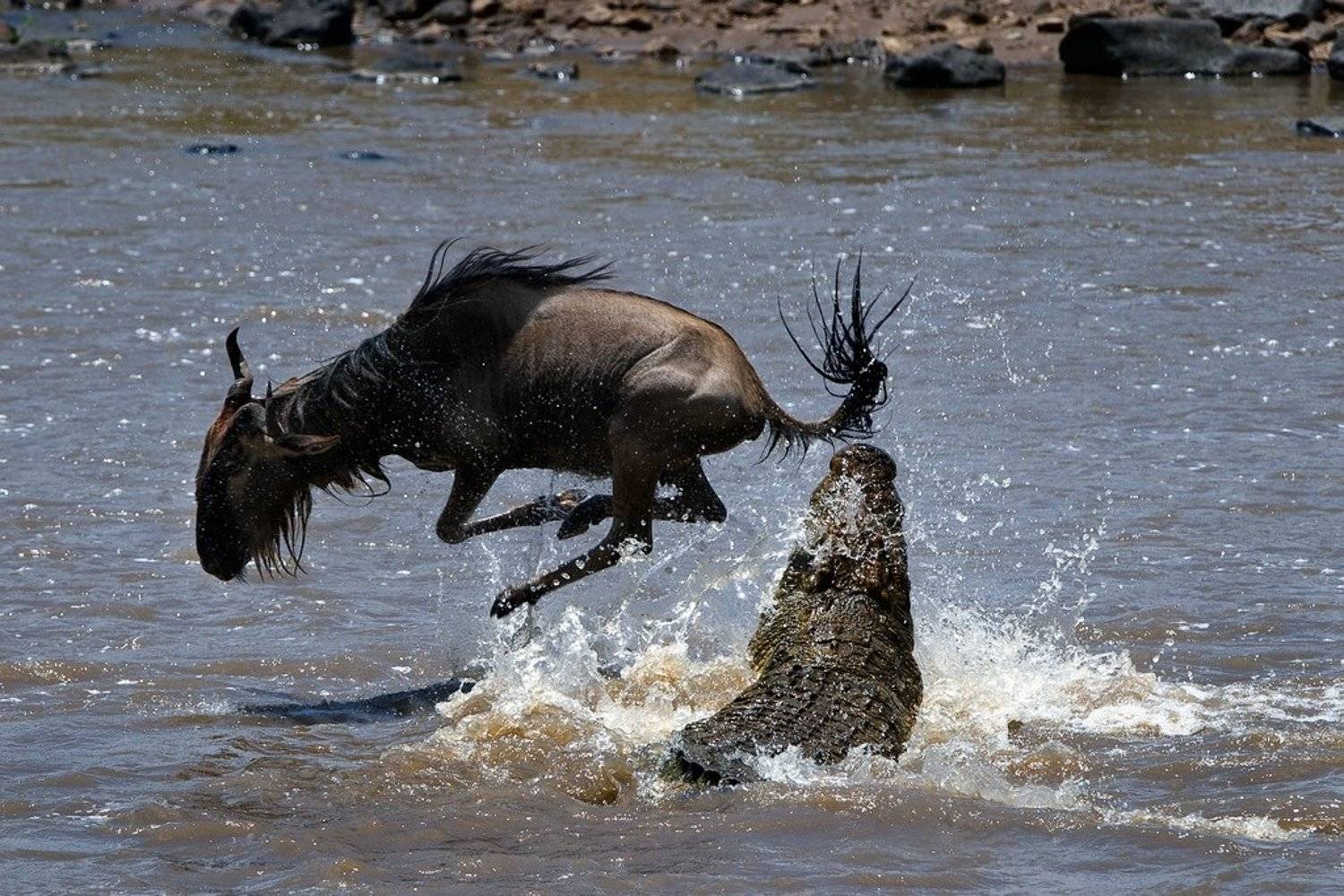 , Сергей Урядников