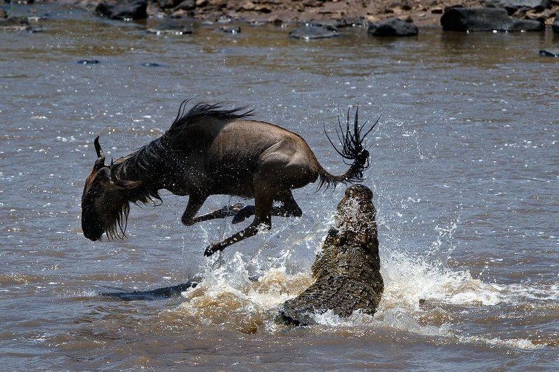 на волоске от смерти фото превью