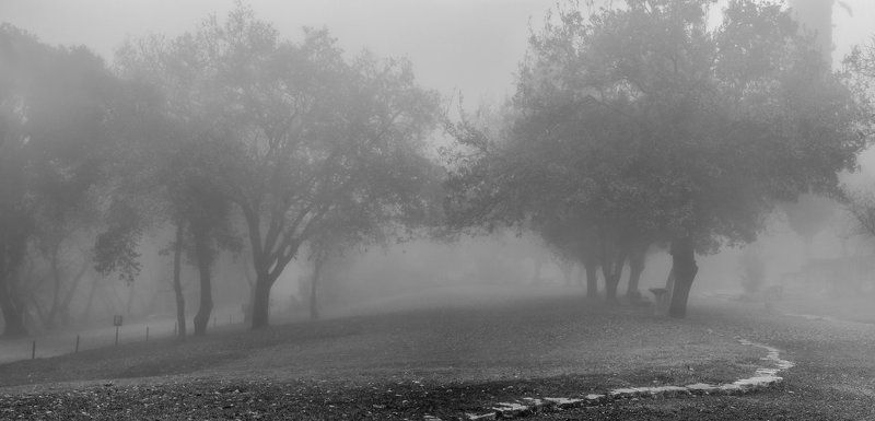 Туманное  утро фото превью