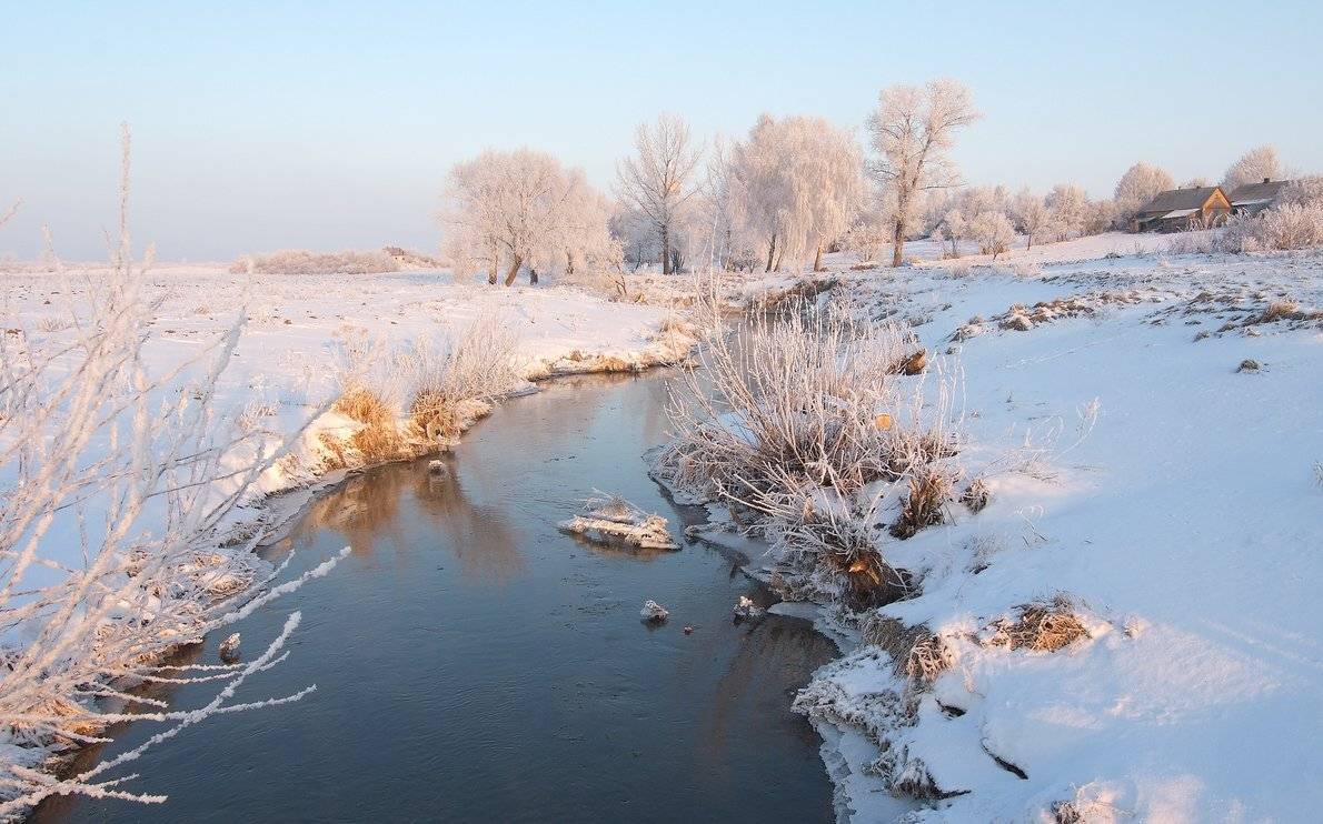 , Николай Шахманцир