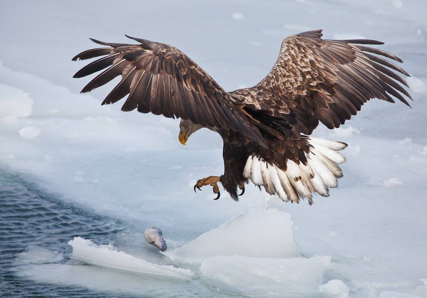 , Евгений Слободской