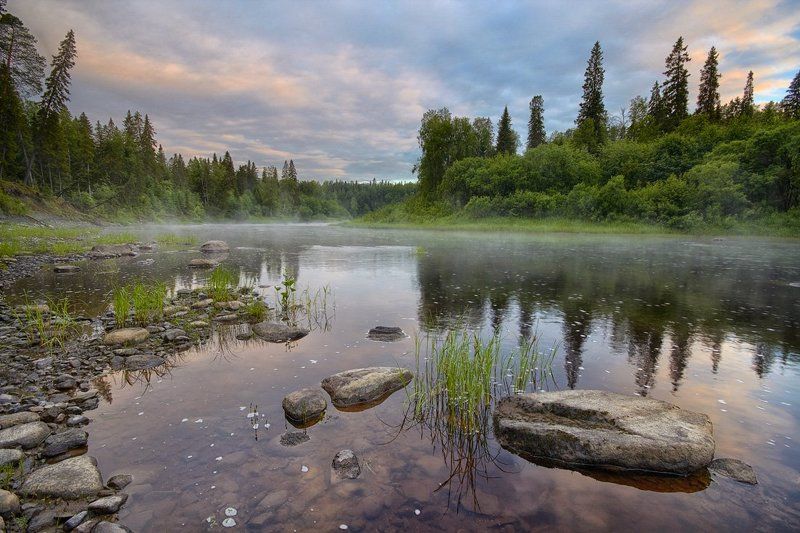 Тишина белой ночи фото превью