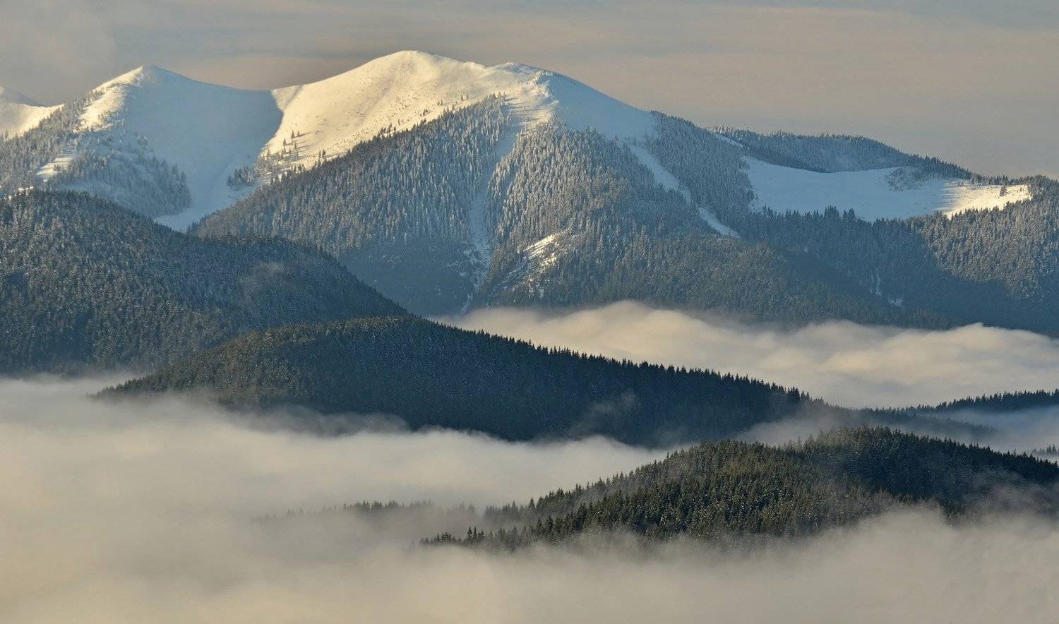 гори, туман, зима, карпати, Плішко Андрій