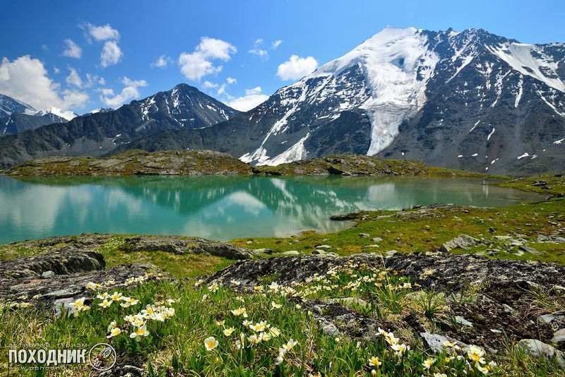 Цветущий Алтай фото превью