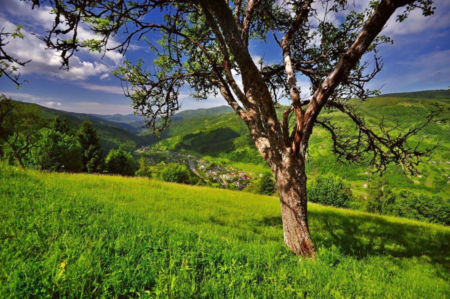 , Игорь Пастернак