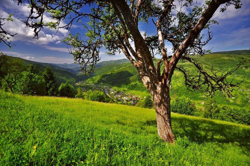 *** фото превью