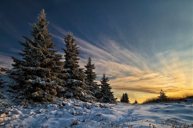 Vitosha фото превью