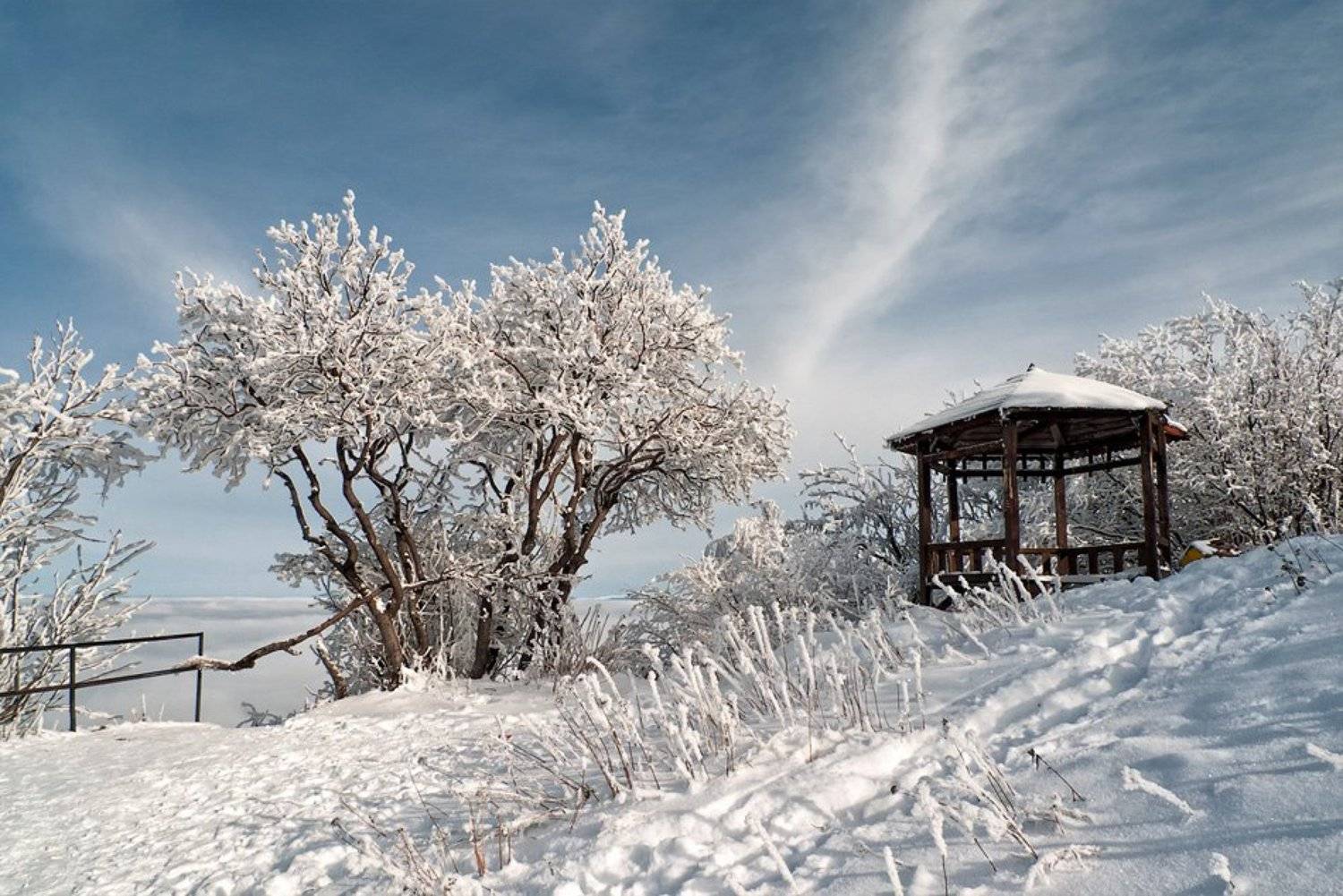 , Светозар Кръстев