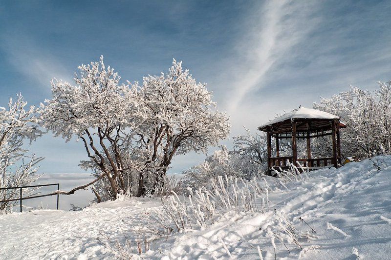 Vitosha фото превью