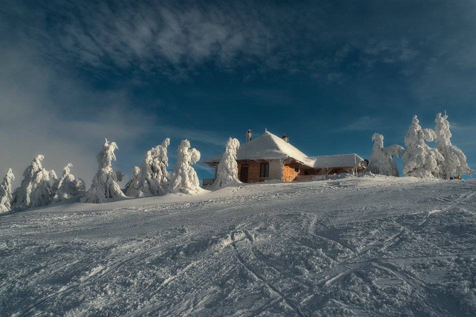 , Светозар Кръстев