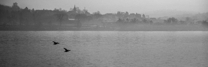 Letterbox фото превью