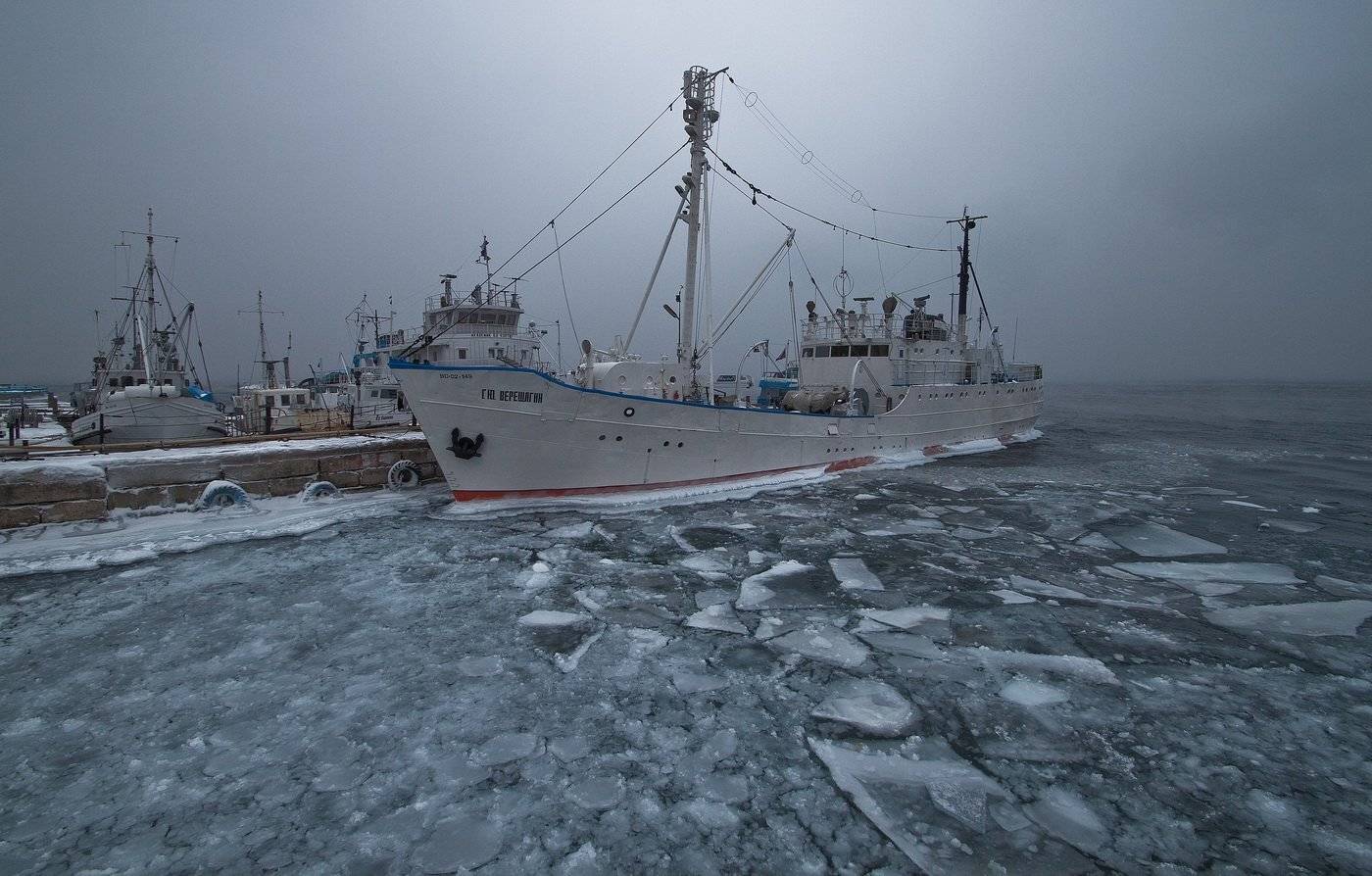 , Алексей Трофимов