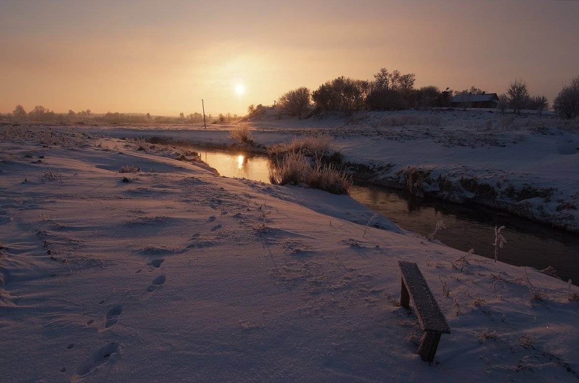 , Николай Шахманцир