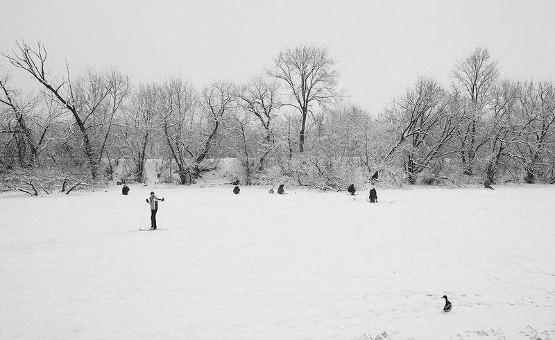 Утка, лыжник и рыбаки. фото превью