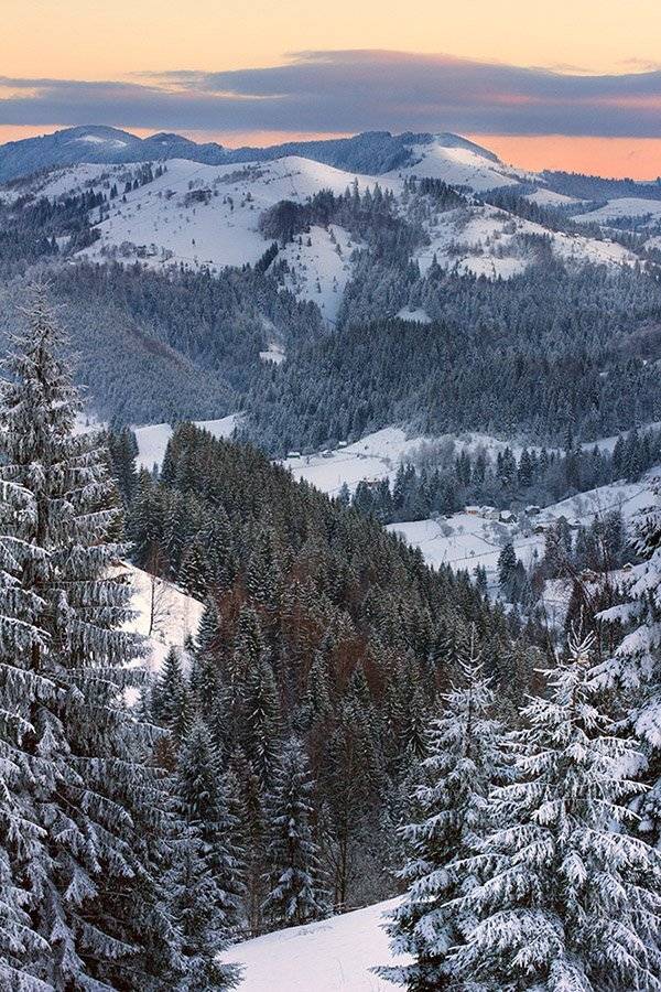 , Юрків Сергій