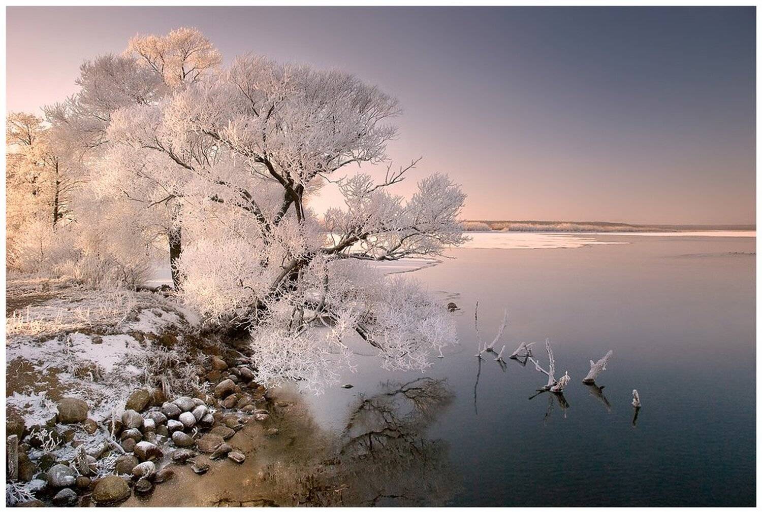 , Коржонов Даниил