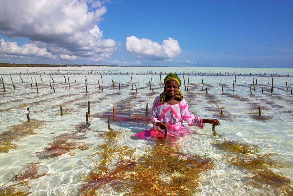 , Вилюнов Дмитрий