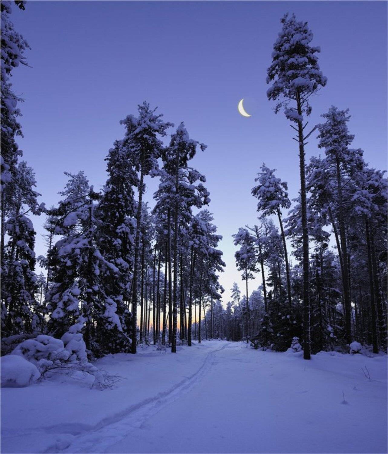 , Анатолий Гулин