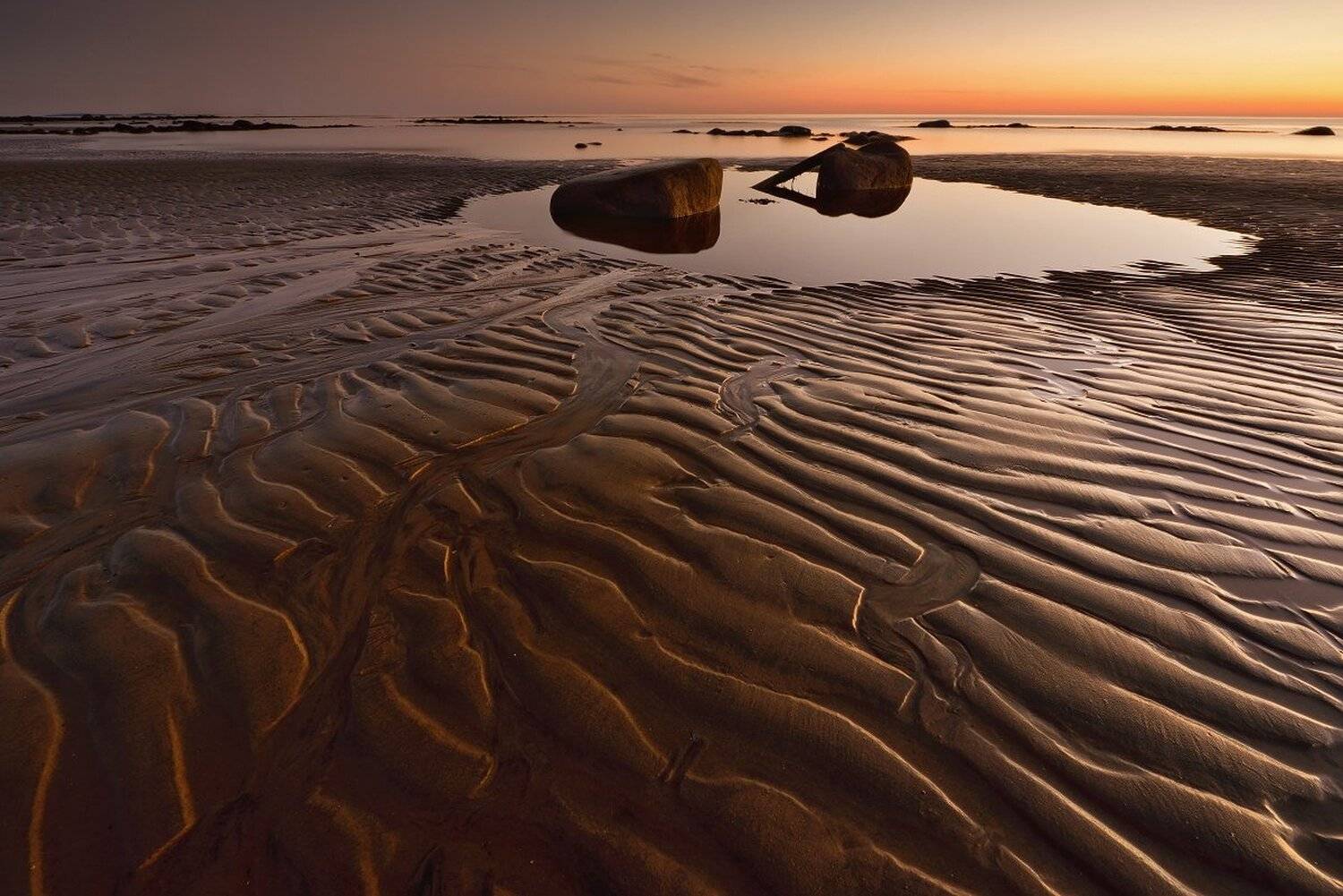 , Максим Евдокимов