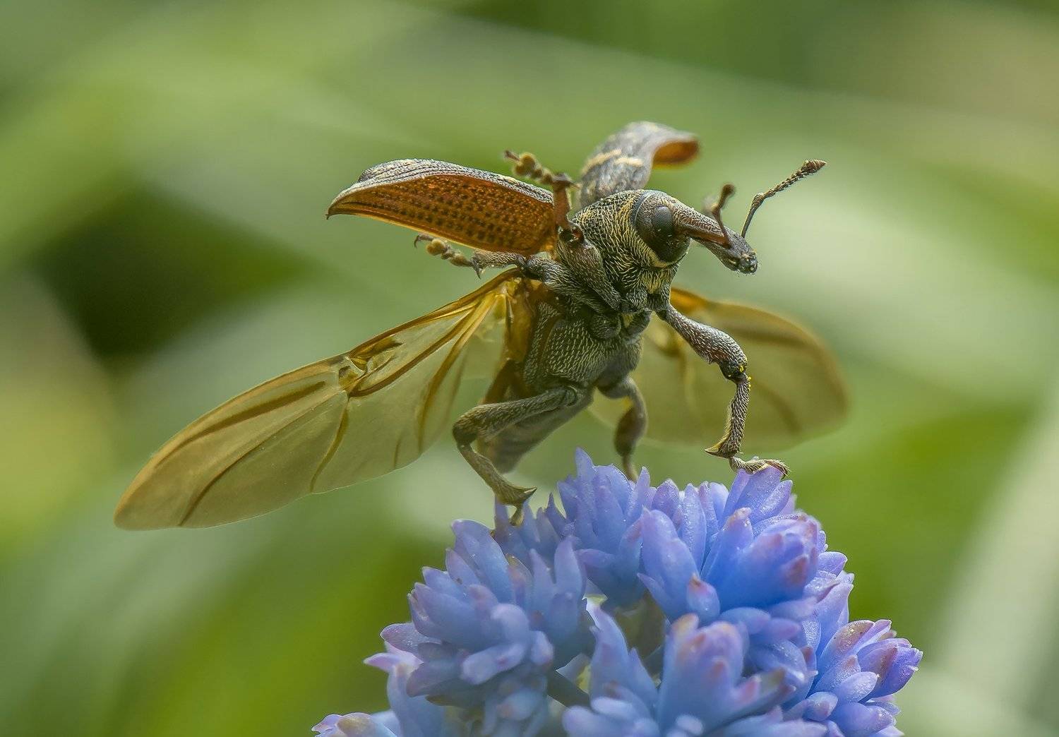 , Сергей Федоренко