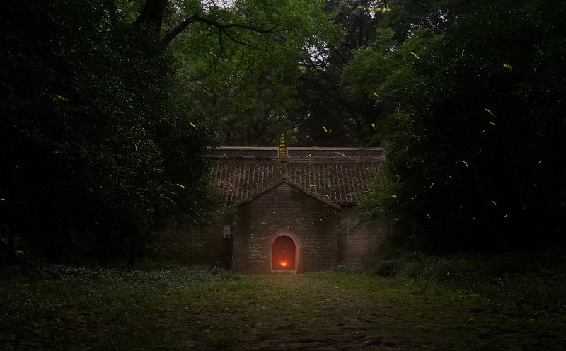 #fireflies#night#long exposure#temple June firefly фото превью