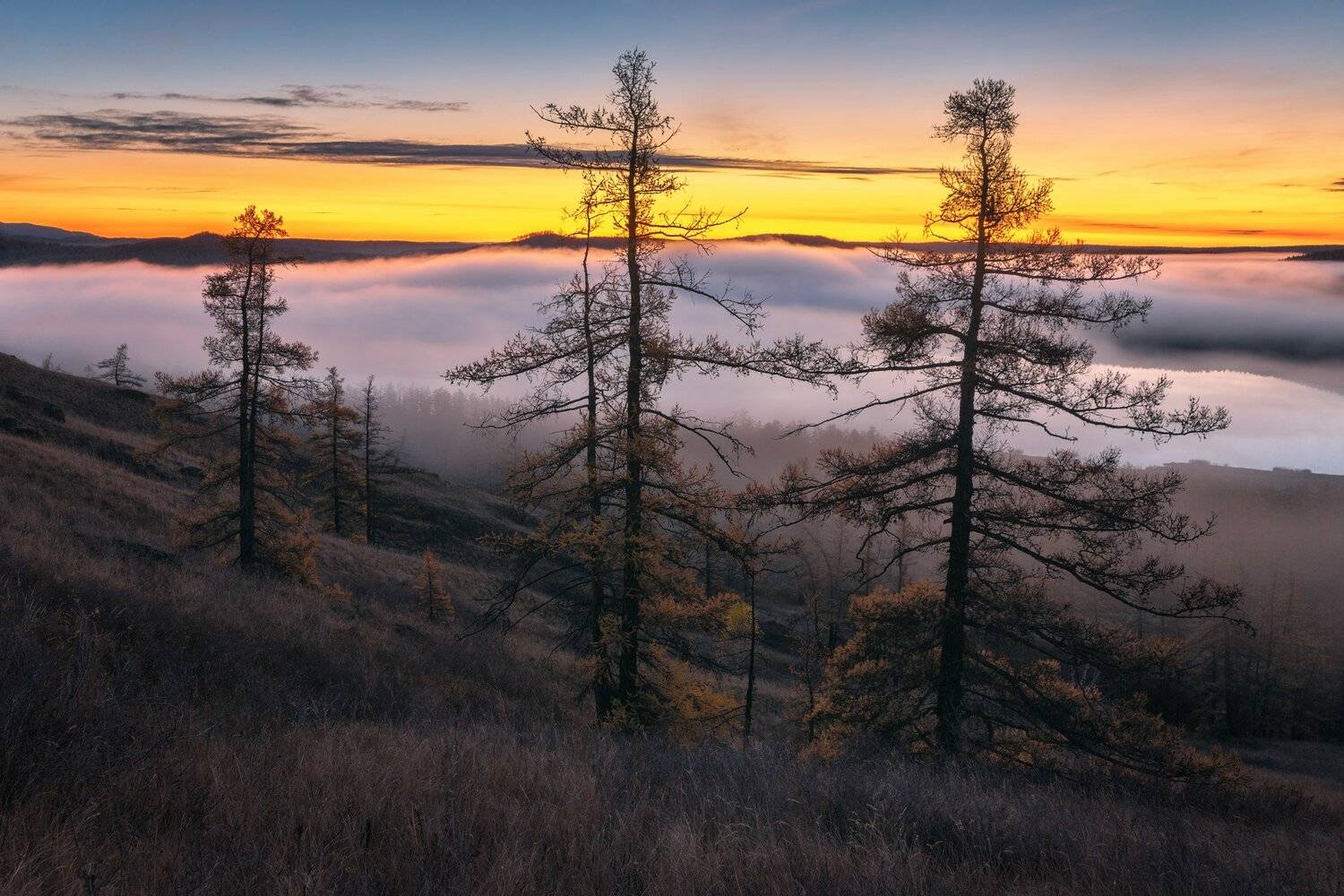 , Михаил Туркеев