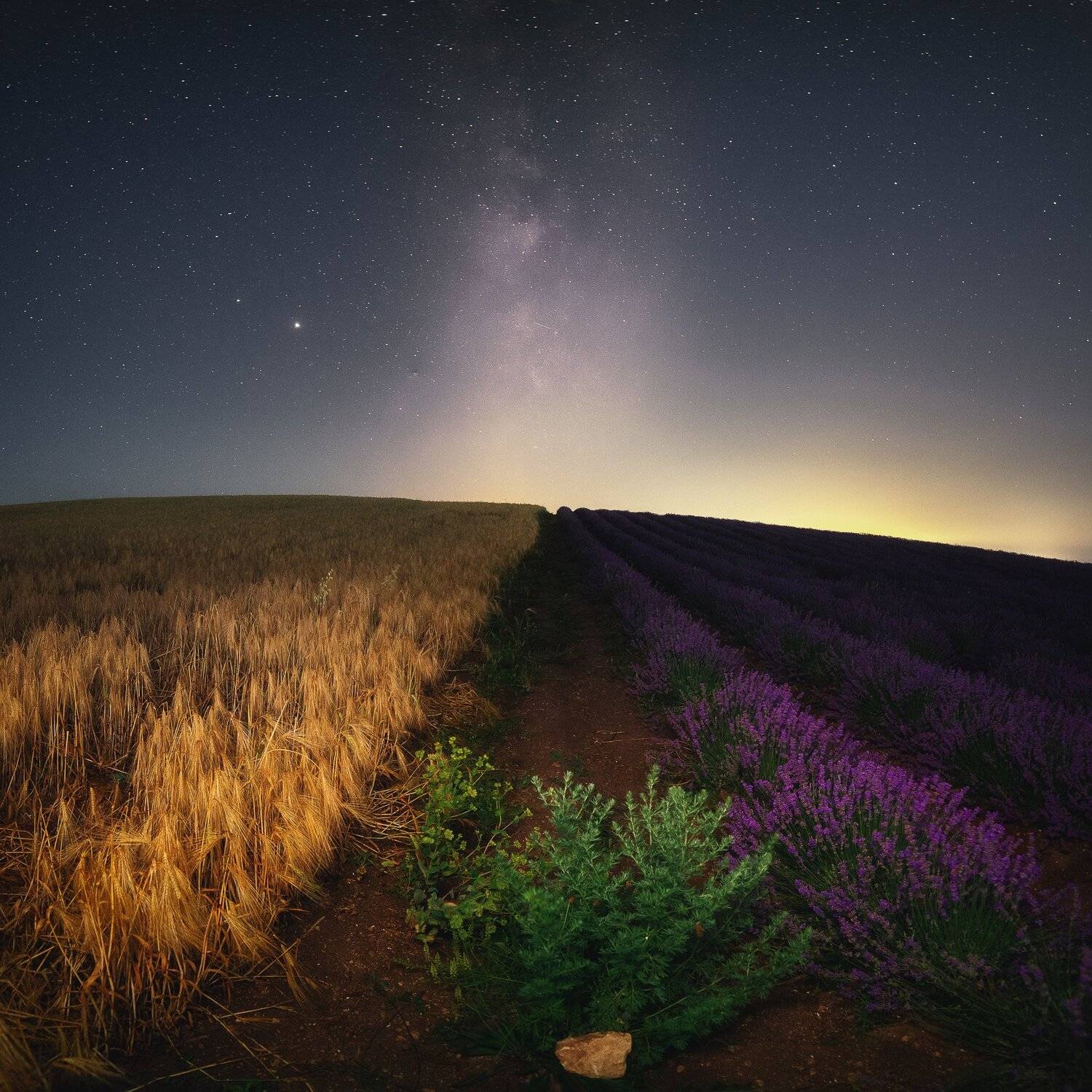 , Oleg Feofanov
