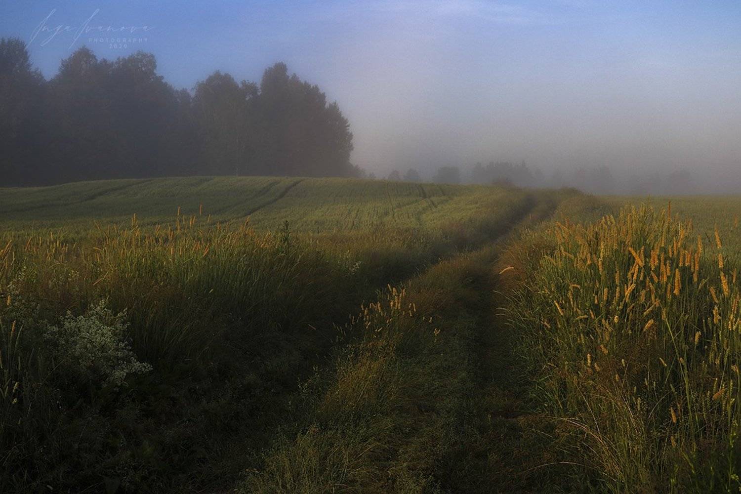 , Инга Иванова