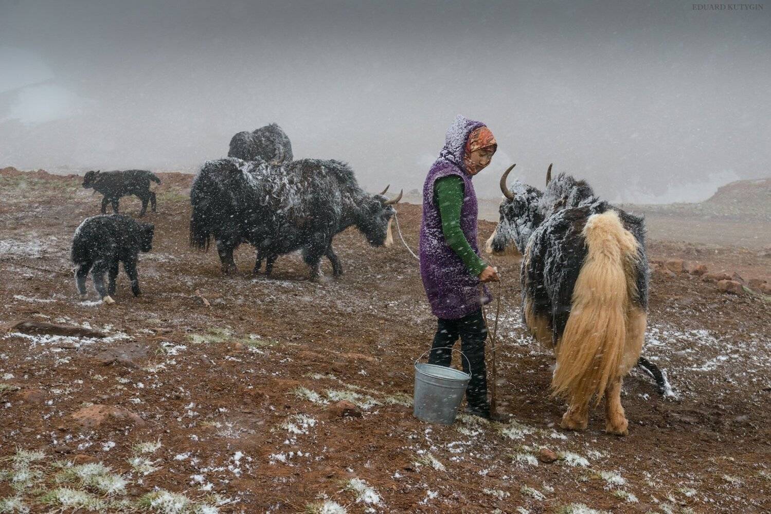 памир, Кутыгин Эдуард