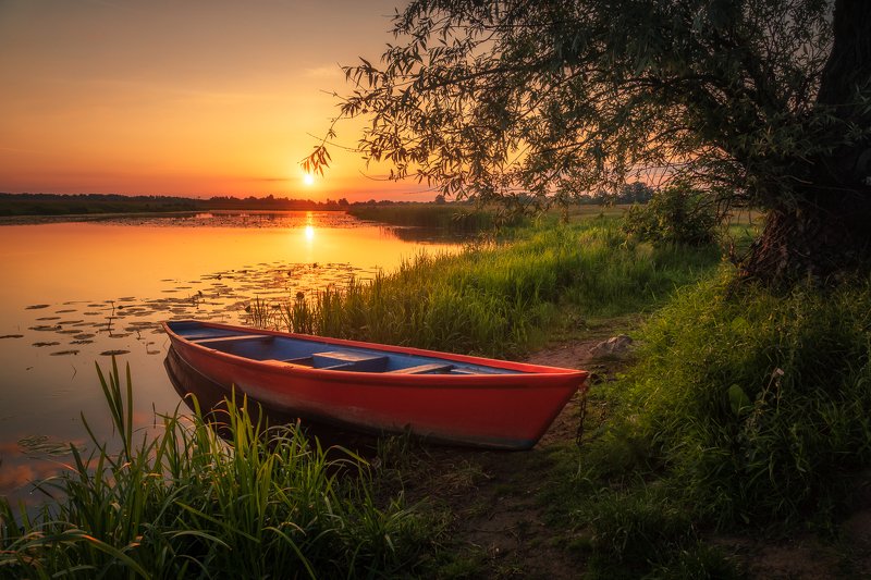 bug, river, boat, sunrise, sun, tree, water, landscape, nature, morning,  Bug River Valley фото превью