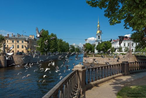 Летним днём на Крюковом канале...