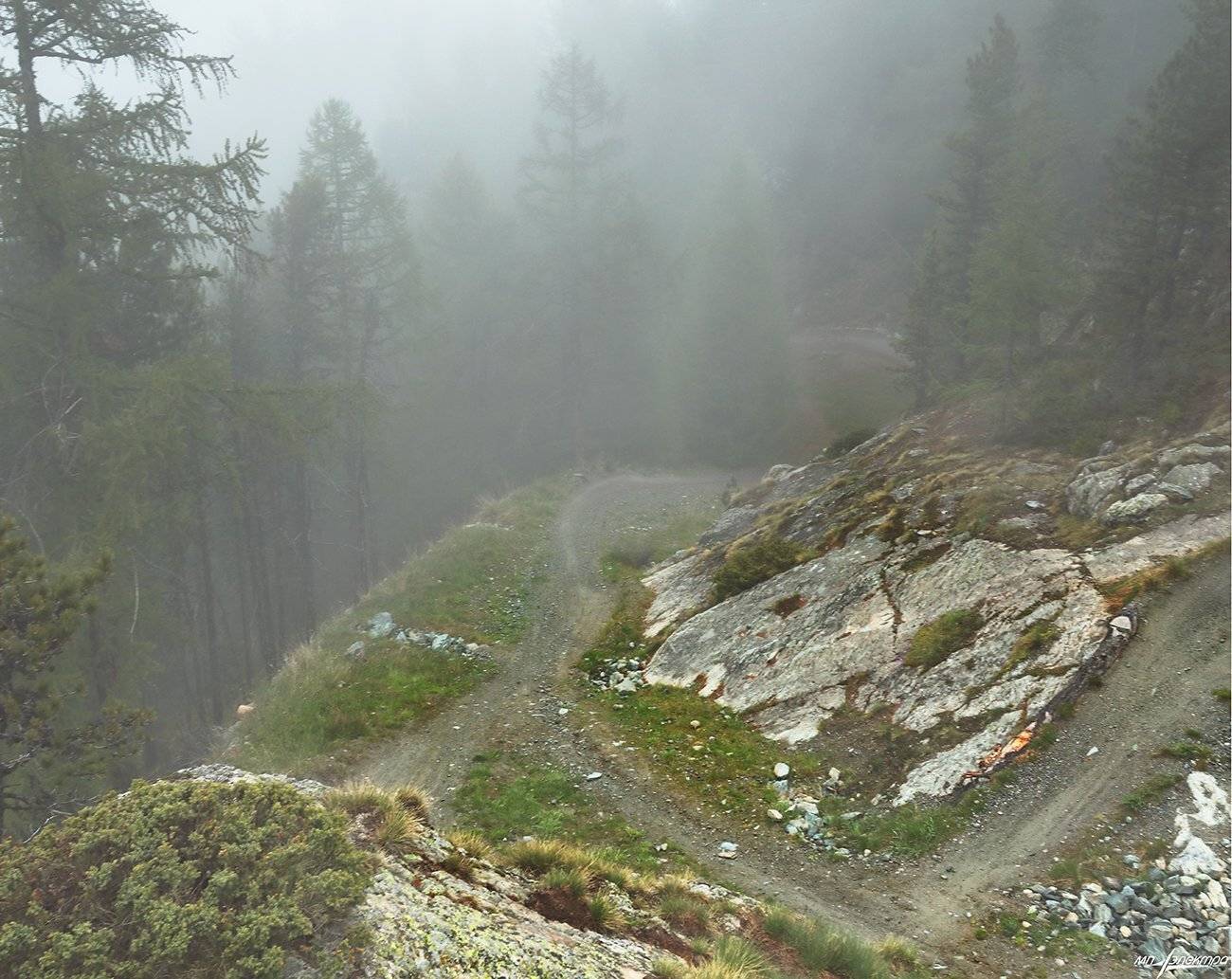 swiss, Матвеев Николай