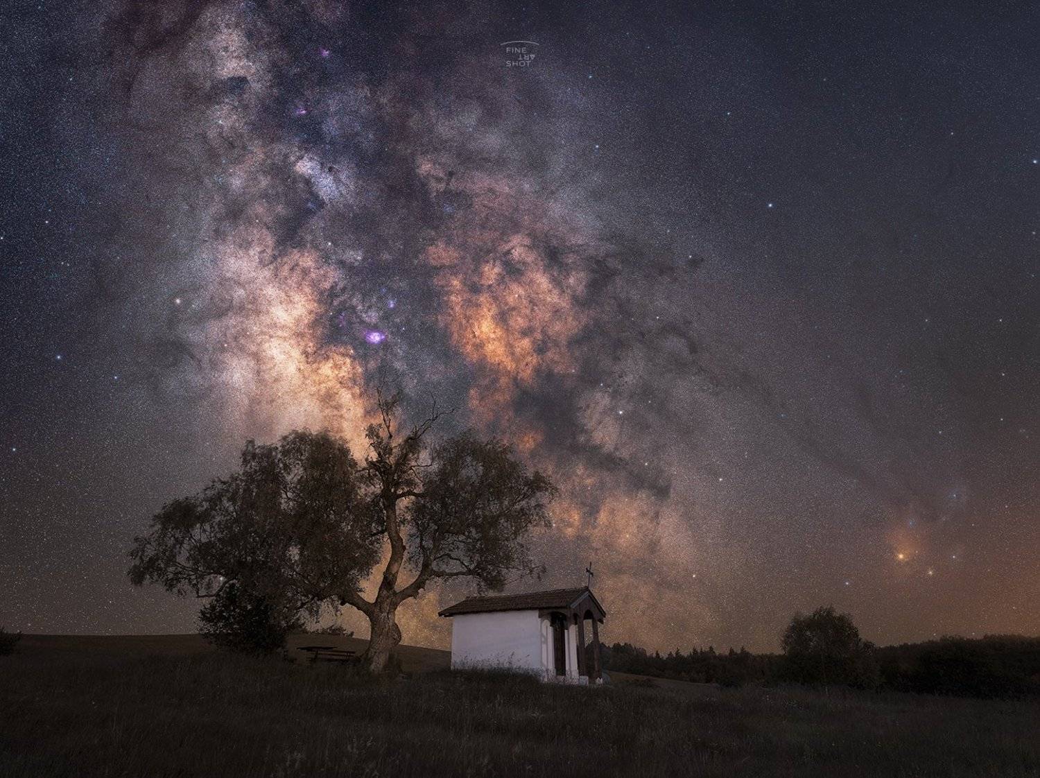 , Михаил Минков