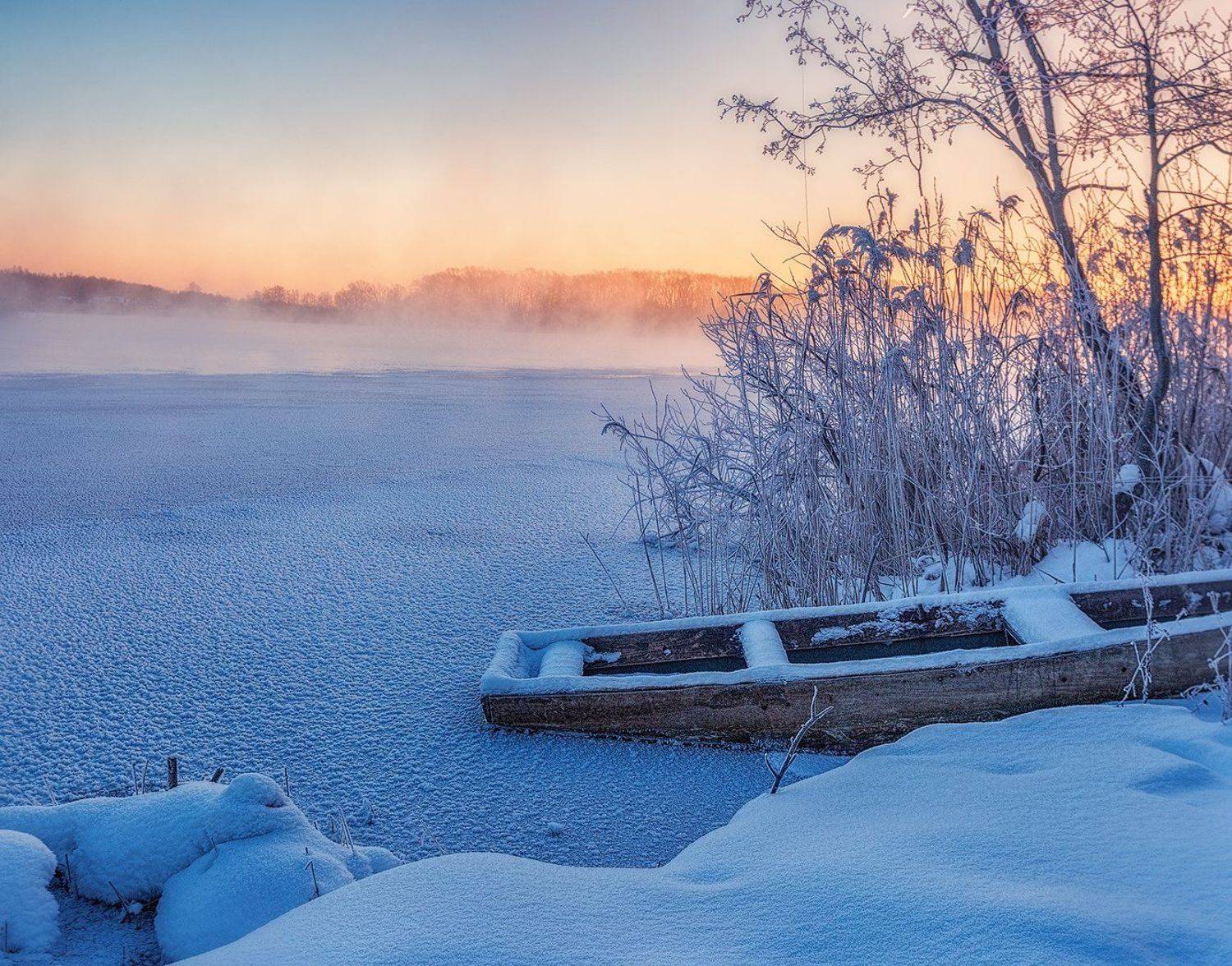 шатура, Владимир Липецких