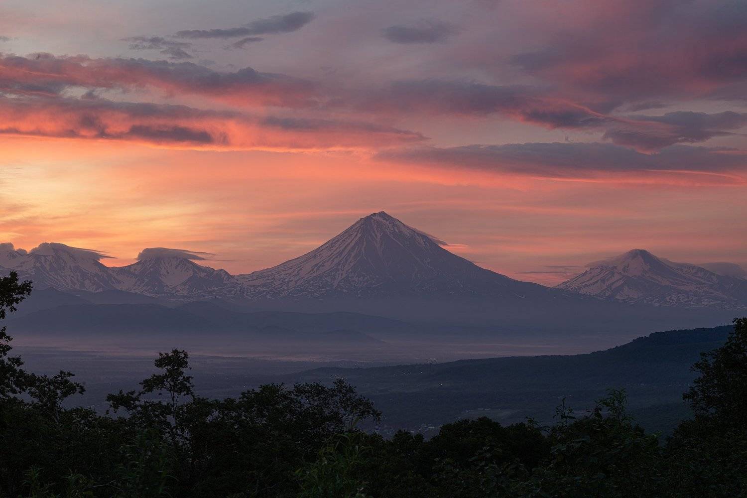 , Александр Максин