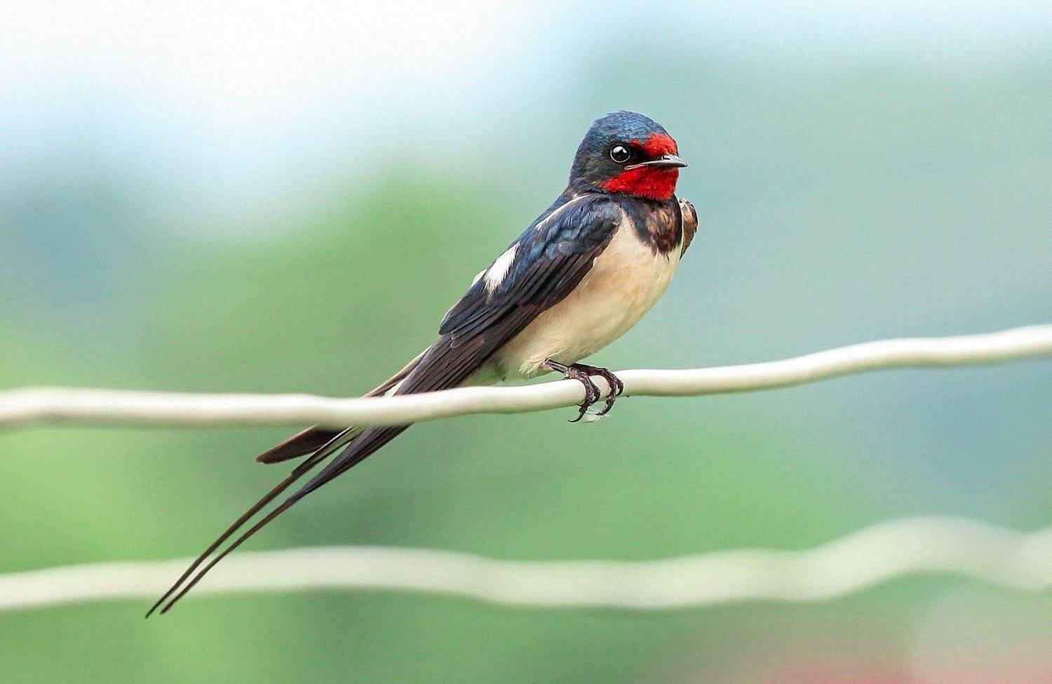 фотографалинция, алинциясавельева, Алинция Савельева