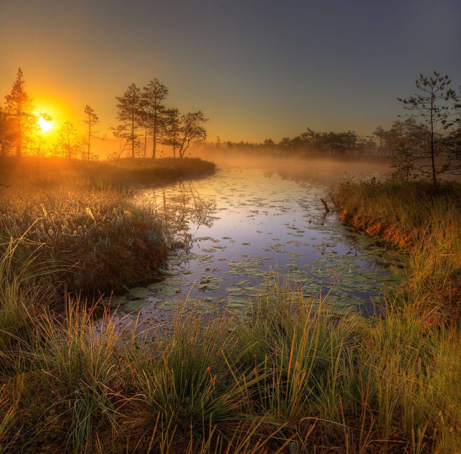 , Эдуард Гордеев