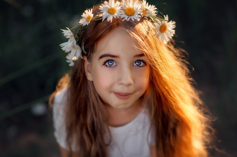 Незабудка фото превью